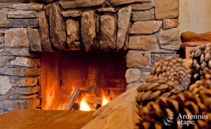 Gerumiges Chalet in Ovifat, Ardennen, 16 Personen, 8 Schlafzimmer, 3 Badezimmer, Sauna, Billard, Garten mit privater Terrasse