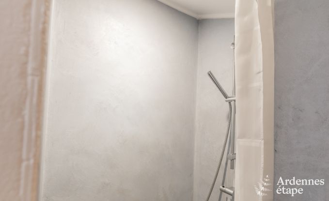 Ferienhaus Paliseul 2/4 Pers. Ardennen