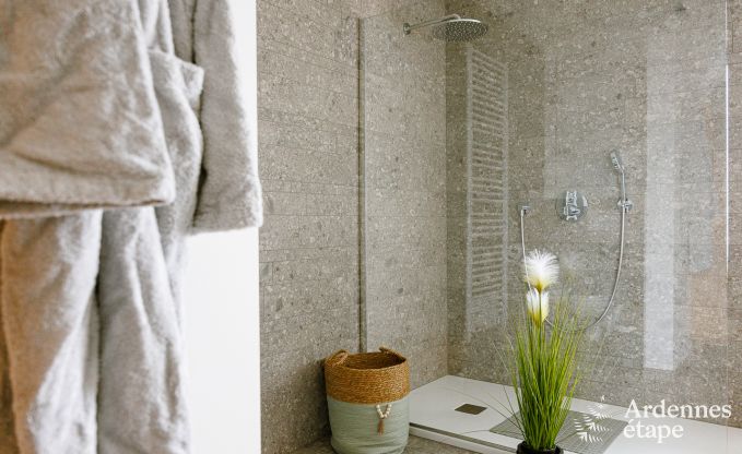 Ferienhaus Paliseul 4 Pers. Ardennen