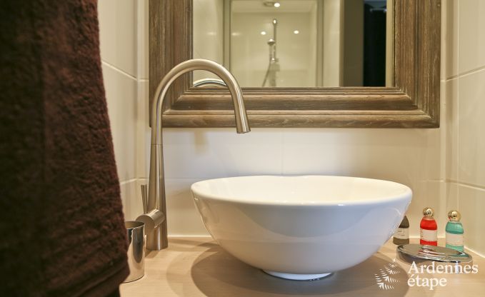 Ferienhaus Paliseul 8 Pers. Ardennen Wellness