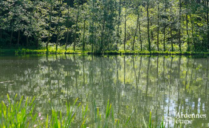 Ferienhaus Paliseul 20 Pers. Ardennen Wellness