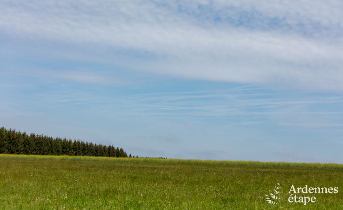 Ferienhaus Paliseul 20 Pers. Ardennen Wellness