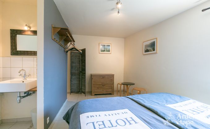 Ferienhaus Paliseul 20 Pers. Ardennen Wellness