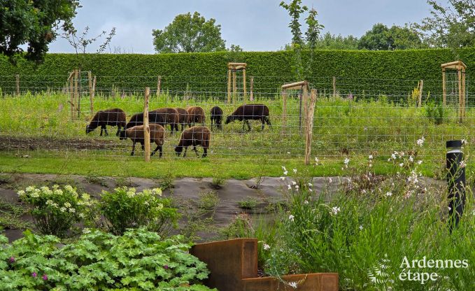 Ferienhaus f�r 9 Personen mit Sauna und Garten im charmanten Our, Paliseul