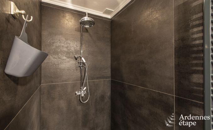 Luxusvilla Paliseul 8/12 Pers. Ardennen Schwimmbad Wellness