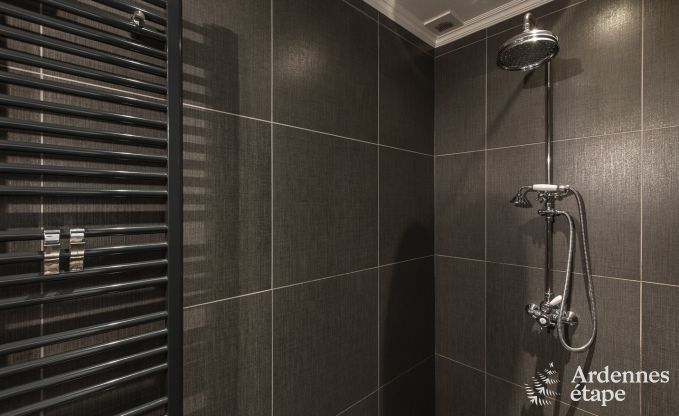 Luxusvilla Paliseul 8/12 Pers. Ardennen Schwimmbad Wellness