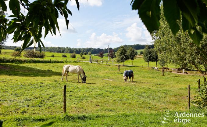 Urlaub auf dem Bauernhof Plombires 12 Pers. Ardennen