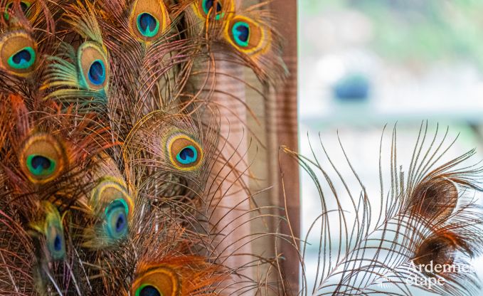 Urlaub auf dem Bauernhof Plombires 12 Pers. Ardennen