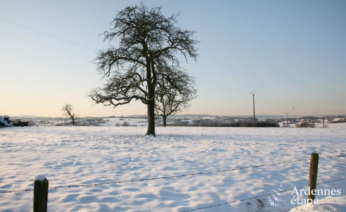Ferienhaus Plombires 12 Pers. Ardennen