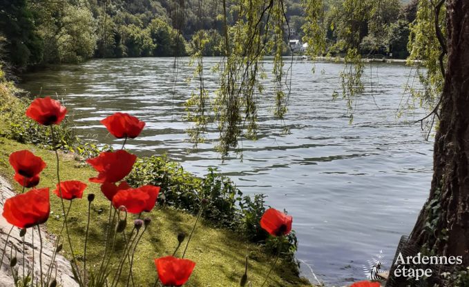 Ferienhaus Profondeville 4 Pers. Ardennen Wellness