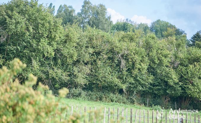 Gemtliches Ferienhaus fr Paare und Familien in Profondeville, Ardennen