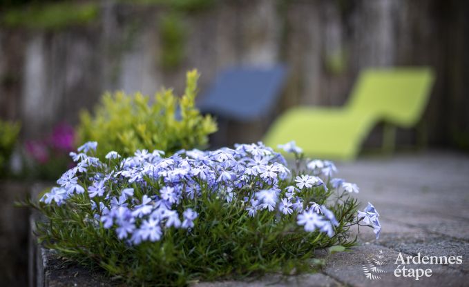 Sehr angenehm Cottage mit Sauna und Jacuzzi Profondeville 5 Pers. Ardennen Wellness