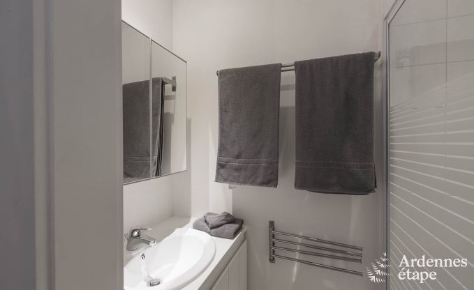 Ferienhaus in Redu, Ardennen, 7 Schlafzimmer, 6 Badezimmer, 15 Personen, nordisches Bad, Billard, privater Garten, Terrasse, Ladestation f�r Elektroautos