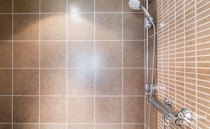 Ferienhaus Redu 15 Pers. Ardennen