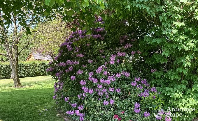Ferienhaus Redu 15 Pers. Ardennen
