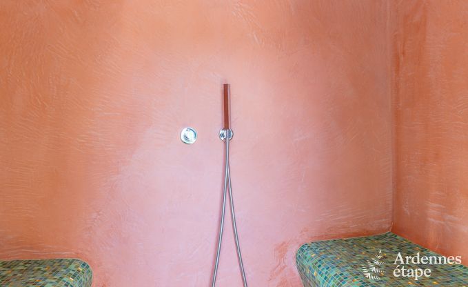 Luxusvilla in Redu, Ardennen, 9 Personen, Auenpool, Sauna, Dampfbad, Innen- und Auenwhirlpool, Privatgarten, vollstndige Ausstattung