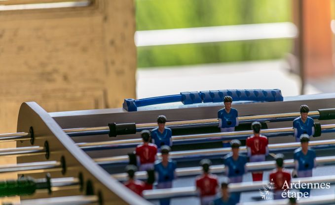 Luxusvilla in Redu, Ardennen, 9 Personen, Auenpool, Sauna, Dampfbad, Innen- und Auenwhirlpool, Privatgarten, vollstndige Ausstattung