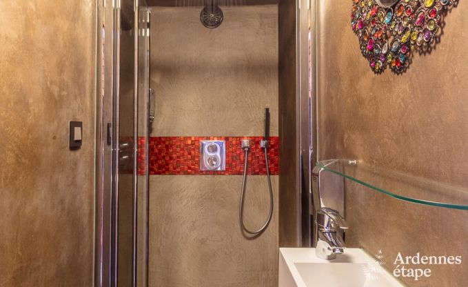 Luxusvilla in Redu, Ardennen, 9 Personen, Auenpool, Sauna, Dampfbad, Innen- und Auenwhirlpool, Privatgarten, vollstndige Ausstattung