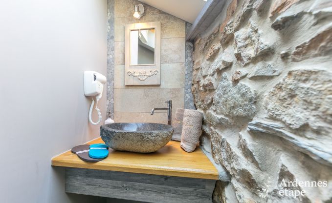 Luxusvilla in Redu, Ardennen, 9 Personen, Auenpool, Sauna, Dampfbad, Innen- und Auenwhirlpool, Privatgarten, vollstndige Ausstattung