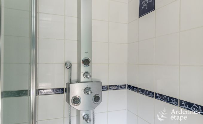 Luxusvilla in Redu, Ardennen, 9 Personen, Auenpool, Sauna, Dampfbad, Innen- und Auenwhirlpool, Privatgarten, vollstndige Ausstattung