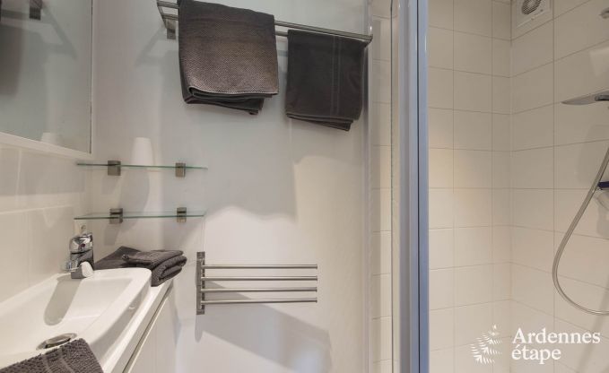 Ferienhaus in Redu, Ardennen, 7 Schlafzimmer, 6 Badezimmer, 15 Personen, nordisches Bad, Billard, privater Garten, Terrasse, Ladestation f�r Elektroautos