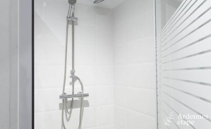 Ferienhaus in Redu, Ardennen, 7 Schlafzimmer, 6 Badezimmer, 15 Personen, nordisches Bad, Billard, privater Garten, Terrasse, Ladestation f�r Elektroautos