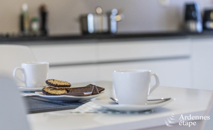 Ferienhaus Redu 15 Pers. Ardennen Wellness