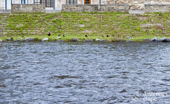 Luxusvilla Remouchamps 4 Pers. Ardennen Wellness