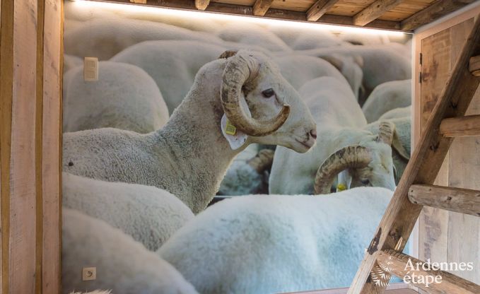 Ferienhaus Robertville 9 Pers. Ardennen Wellness