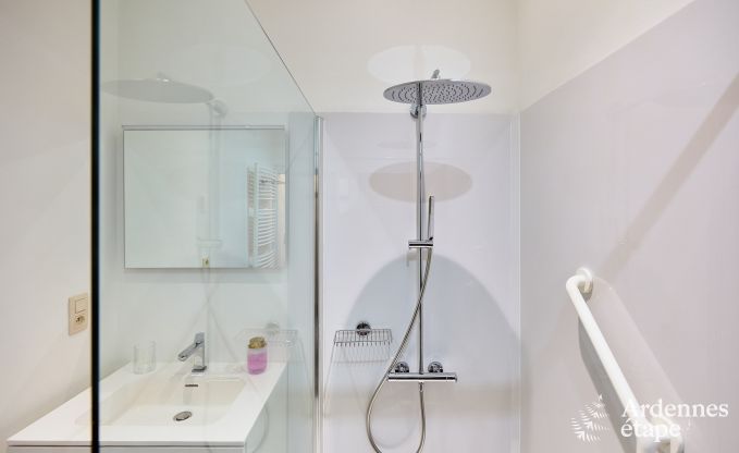 Sehr gepflegtes und charmantes Ferienhaus f�r 8 Personen in Tellin, nahe Rochefort