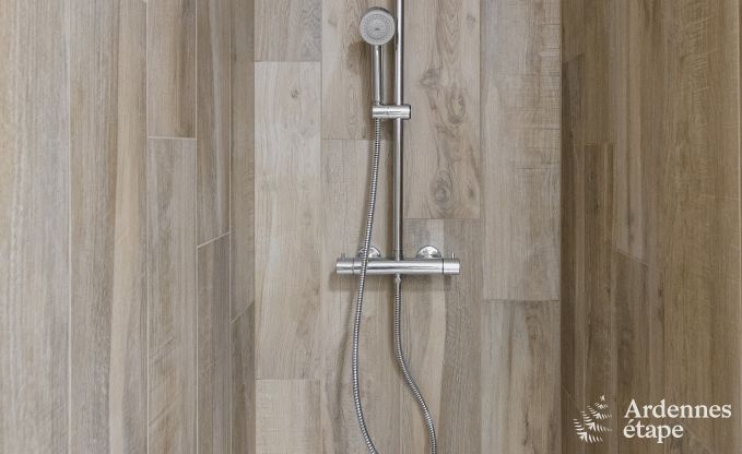 Luxusvilla Rochefort 16 Pers. Ardennen Wellness