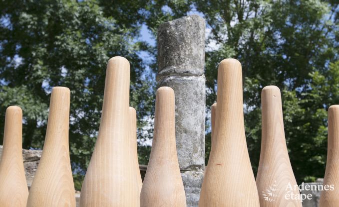 Luxusvilla Rochefort 16 Pers. Ardennen Wellness