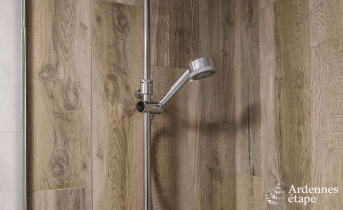 Luxusvilla Rochefort 16 Pers. Ardennen Wellness