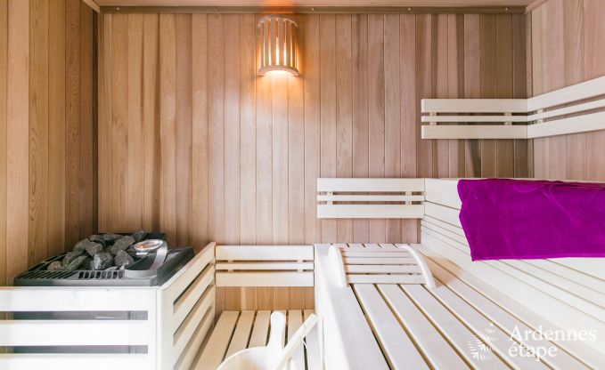 Luxusvilla Rochefort 16 Pers. Ardennen Wellness