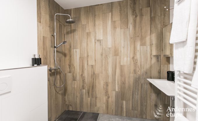 Luxusvilla Rochefort 16 Pers. Ardennen Wellness