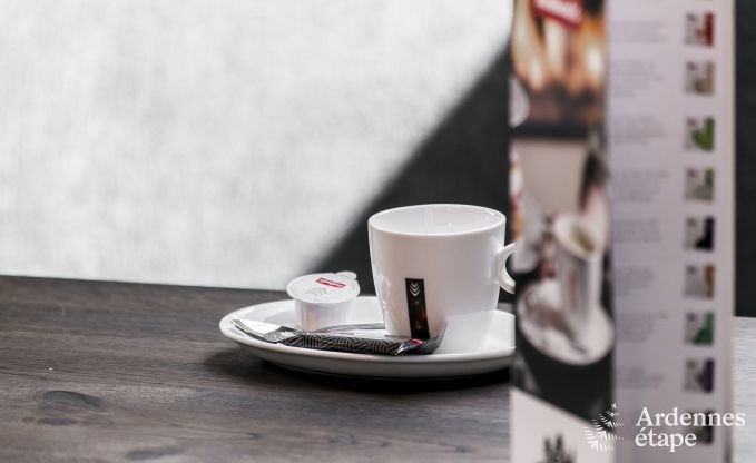 Luxusvilla Rochefort 16 Pers. Ardennen Wellness