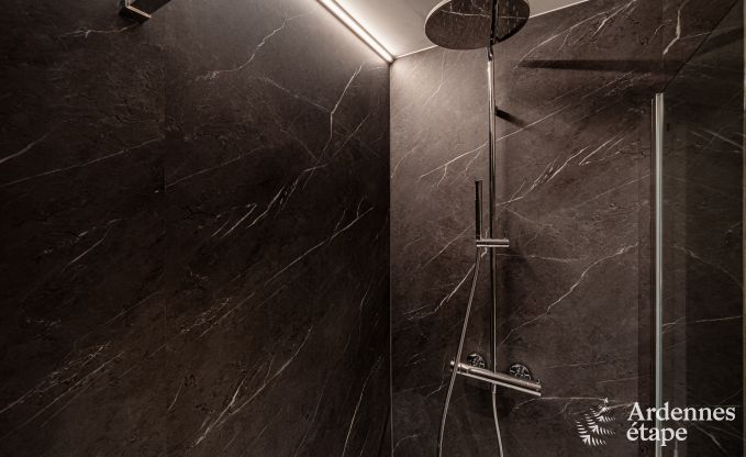 Luxus in Rochehaut: Ger�umige Unterkunft f�r 14 Personen mit Innen pool und Herrliche Aussicht