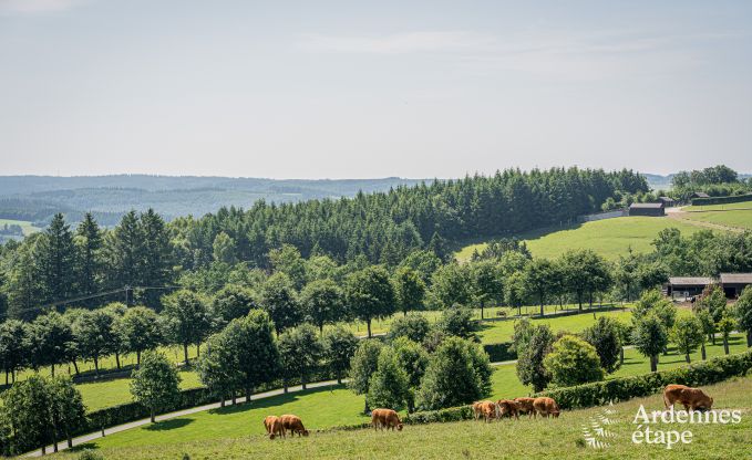 Luxus in Rochehaut: Ger�umige Unterkunft f�r 14 Personen mit Innen pool und Herrliche Aussicht