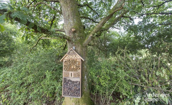Chalet Saint-Hubert 4 Pers. Ardennen