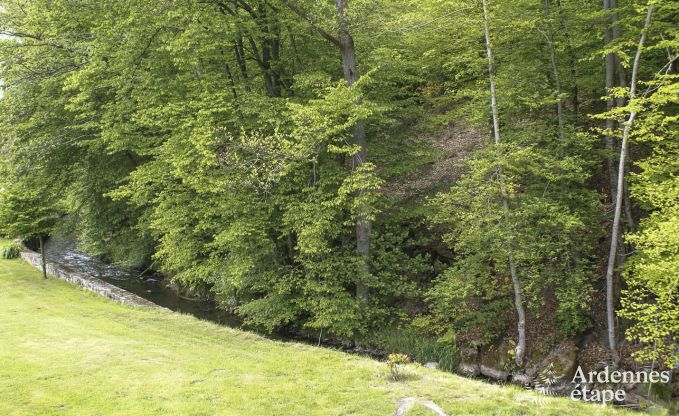 Ferienhaus Saint-Hubert 19 Pers. Ardennen