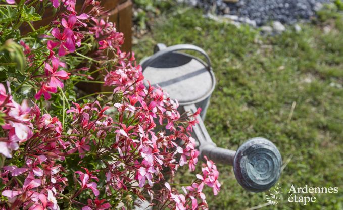 Chalet Saint-Hubert 4 Pers. Ardennen