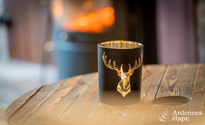 Hundefreundliches Ferienhaus mit Jacuzzi und Holzkohlegrill fr 9 Personen in Saint-Hubert, Ardennen.