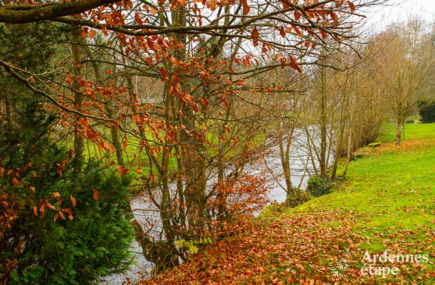 Ferienhaus in Sainte-Ode: Oase der Ruhe in den Ardennen fr 6 Personen mit moderner Ausstattung