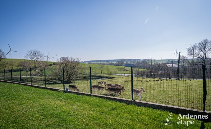 Luxurise und hundefreundliche Ferienwohnung mit Pool in Sainte-Ode, Ardennen