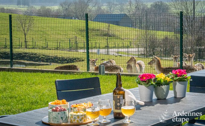 Luxurise und hundefreundliche Ferienwohnung mit Pool in Sainte-Ode, Ardennen