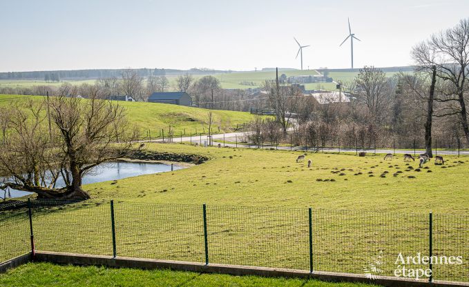 Gemtliches Ferienhaus mit Pool in Sainte-Ode, Ardennen