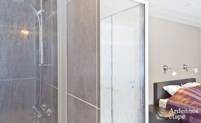 Wohnung Sainte-Ode 6/7 Pers. Ardennen Schwimmbad