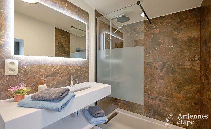 Ultramoderne Villa in Somme-Leuze fr 12 Personen mit Hallenbad, Sauna und Privatgarten