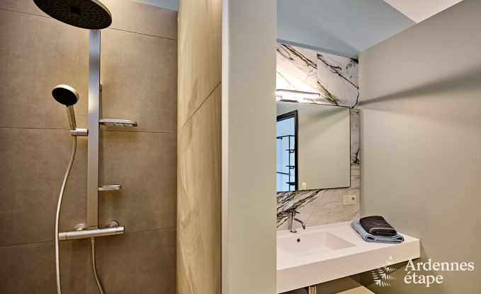 Ultramoderne Villa in Somme-Leuze fr 12 Personen mit Hallenbad, Sauna und Privatgarten