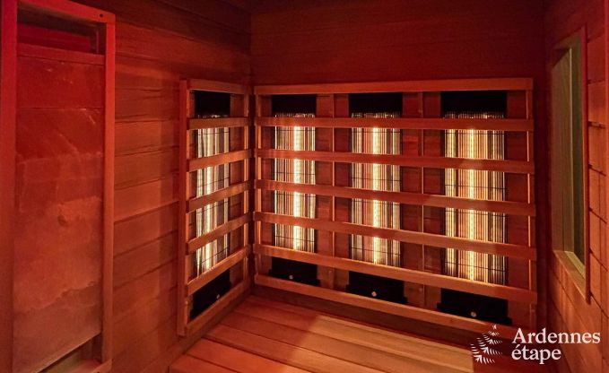 Ultramoderne Villa in Somme-Leuze fr 12 Personen mit Hallenbad, Sauna und Privatgarten